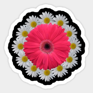 gerbera flowers daisies gerberas daisy flowery bloom floral Sticker